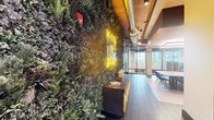 This generously sized, single-floor coworking space masterfully combines biophilic design with contemporary industrial elements across a thoughtfully curated layout. The entry corridor makes an immediate impression with a dramatic floor-to-ceiling living green wall, densely layered with diverse plant species and anchored by a glowing yellow neon "work & play" sign. Warm wood-paneled ceilings and exposed polished ductwork run throughout, creating an industrial-yet-organic aesthetic that carries across the entire floor.

The workspace is organized into distinct functional zones connected by dark hardwood flooring. Glass-walled, black-framed partitions divide private meeting rooms and focus areas from open collaborative zones, maintaining visual connectivity while providing acoustic separation. A glass-enclosed conference room features a botanical mural wall, a suspended statement pendant light, and direct outdoor views. Communal work tables with modern seating sit alongside high-back pod chairs for individual focus work.

A bright lounge area features a bold geometric-tiled floor, large windows with outdoor views, and a sculptural pendant light overhead. An additional mezzanine-level seating nook offers geometric LED ceiling lighting and overlooks the floor below. Throughout, abundant natural light, curated artwork, and lush greenery contribute to an energizing, design-forward environment.