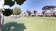 This outdoor common area offers a generous, well-maintained green space ideal for recreation and relaxation. The grounds feature a broad expanse of lush lawn bordered by mature shade trees, including eucalyptus and palm varieties that lend a distinctly Southern California character to the environment. The open turf area provides ample room for outdoor activities and is enclosed by a perimeter fence, ensuring a defined and secure boundary.

Adjacent to the lawn, a paved concrete area serves as a dedicated gathering and seating space, complete with a classic wooden bench positioned beneath the shade of a tall palm tree. Colorful flowering shrubs, including a vibrant red-blooming plant, add ornamental interest to the landscaping along the edges of the hardscape.

The overall setting benefits from abundant natural sunlight under a clear blue sky, creating a bright and welcoming atmosphere. Surrounding residential buildings are visible in the background, framing the space and providing context within the broader community. The combination of open green space, established trees, and dedicated seating areas makes this outdoor area a versatile and appealing communal amenity.