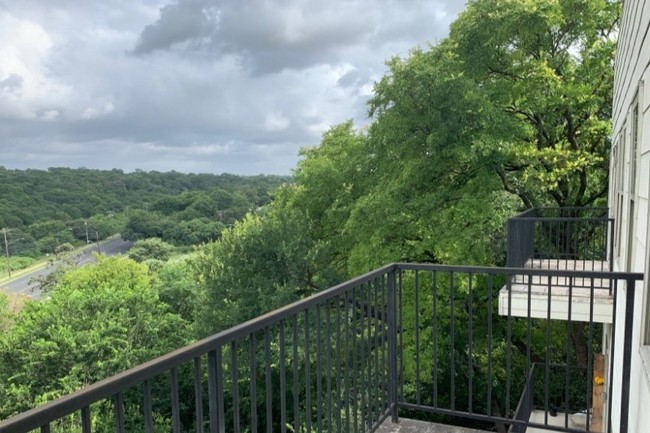 Shoal Creek Greenbelt from the gallery - 2708 San Pedro St