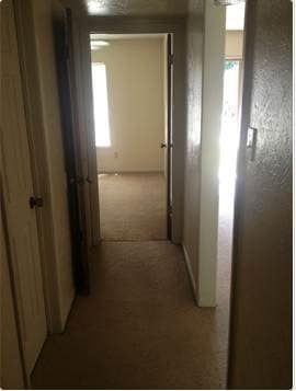 Building Photo - 2 BEDROOM DUPLEX WALKING DISTANCE TO GABBA...
