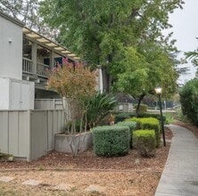 Building Photo - 5538 Cribari Cir