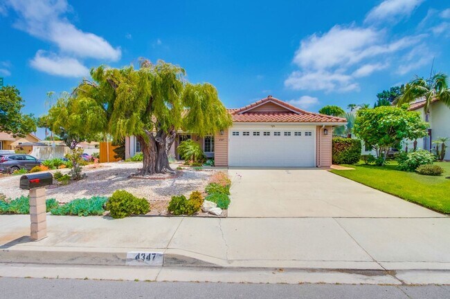 Building Photo - Single Story Oceanside Home Available Now!