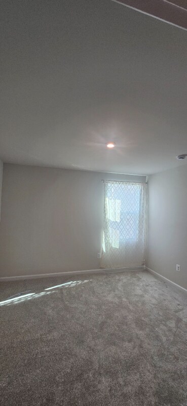 Foto del edificio - 3113 Clover Ln