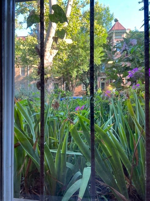 View outside to garden - 1735 1/2 T St NW