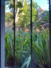 View outside to garden - 1735 1/2 T St NW