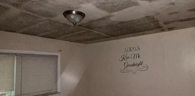 Building Photo - 1920 Prior Dr