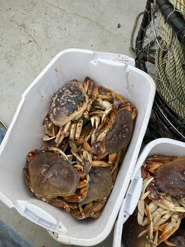 Crabbing everywhere - 3720 NW Keel Ave