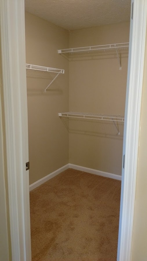 Building Photo - 11311 Breeze Cir