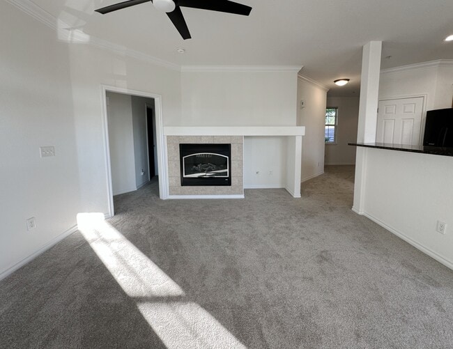 Building Photo - 3488 Molly Cir