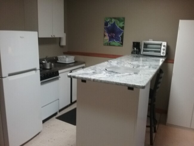 Cocina pequeña equipada - 9 Mountain Laurel Ln