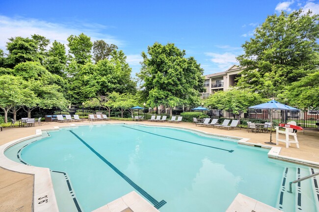 Piscina estilo centro turístico con terraza - Annapolis Bay