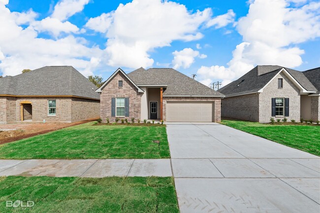 Building Photo - Newly Built Home in Willow Heights