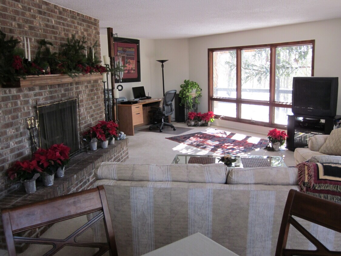 Living room area with fireplace - 155 Abbey Fields Ln