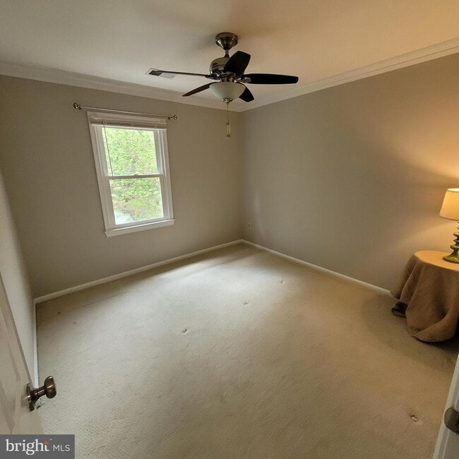 Building Photo - 6302 Shiplett Blvd