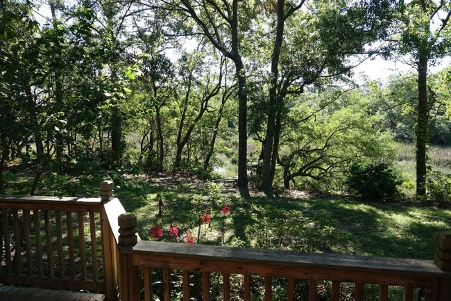 Marsh View from the Deck - 927 blue crab way