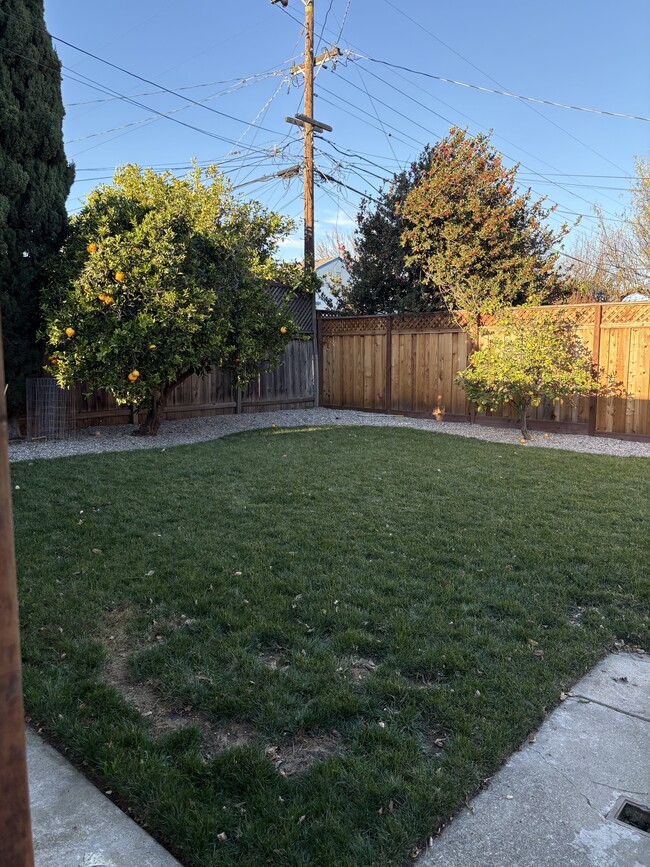 Shared Yard - 11 E 38th Ave