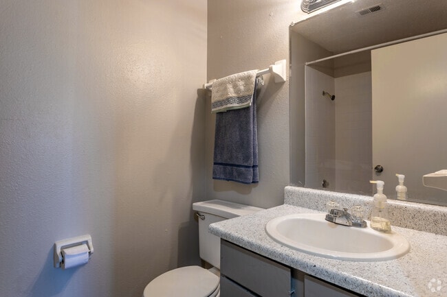 2BR, 2BA - 1000 SF Belmont - Bathroom - The Aspen Apartments