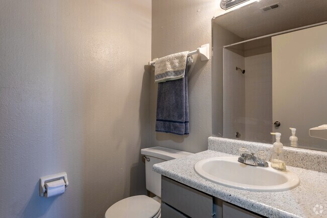 2BR, 2BA - 1000 SF Belmont - Bathroom - The Aspen Apartments