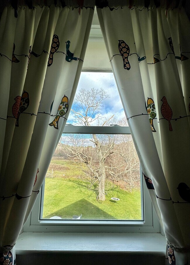 Foto del edificio - 818 Danby Hill Rd