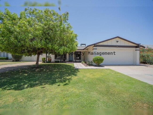 Building Photo - 2429 E Dahlia Dr
