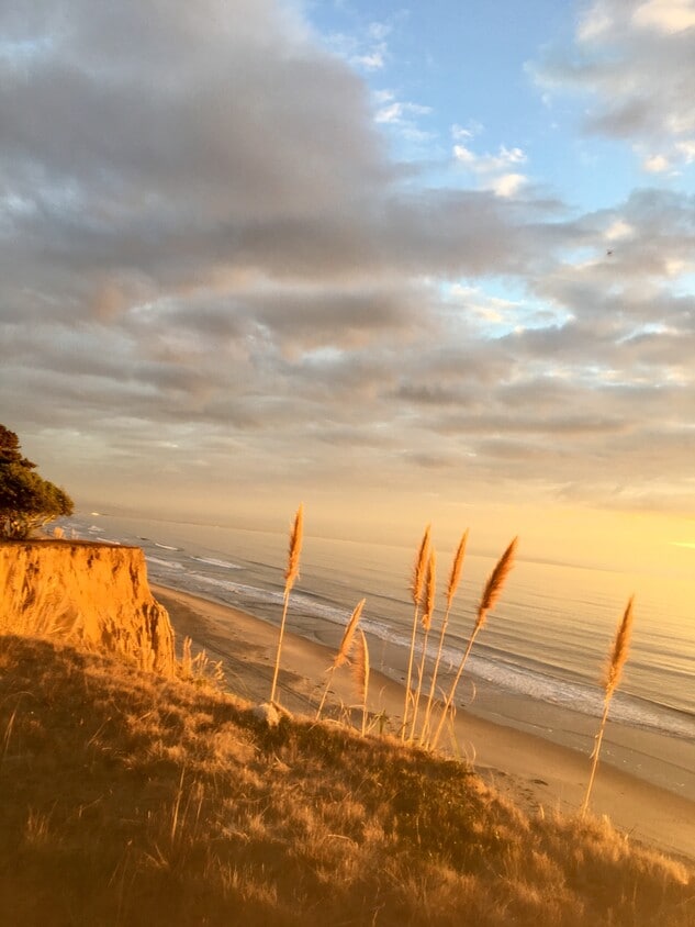 View from bluff 100 yds from the front door - 440 Camino Al Mar