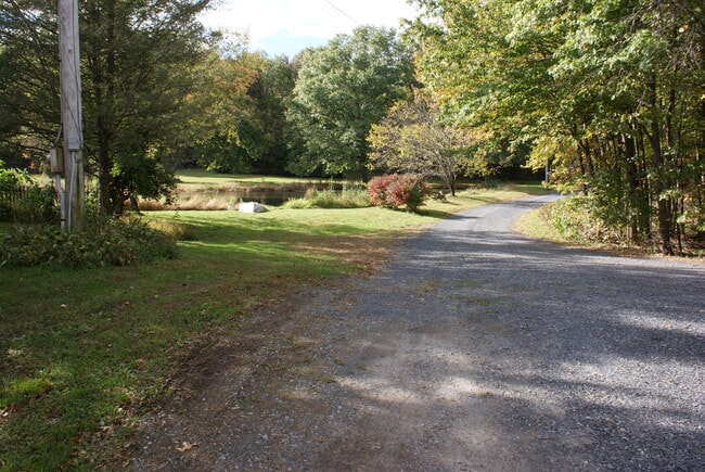Long gravel driveway - 540 Hoagerburgh Rd
