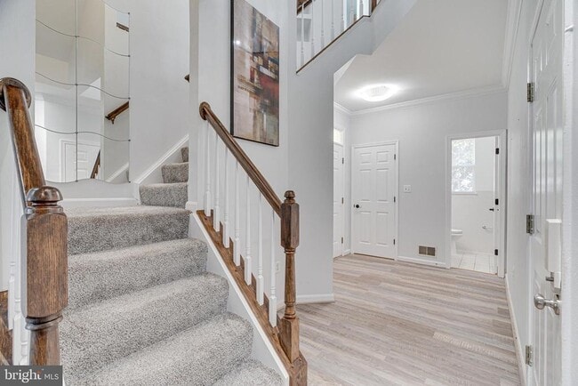 Building Photo - 46185 Walpole Terrace