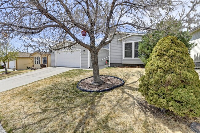 Building Photo - 4030 Gray Fox HT Colorado Springs, CO 80922