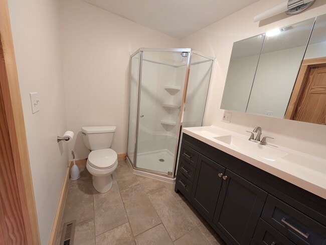 Downstairs bathroom - 336 Spring Ave