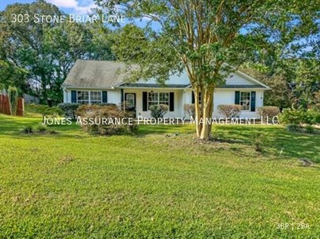 Foto del edificio - 303 Stone Briar Lane-