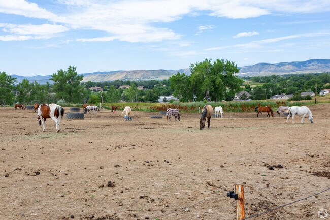 Most house lots in Standley Lake are large, with some large enough to hold farm animals.