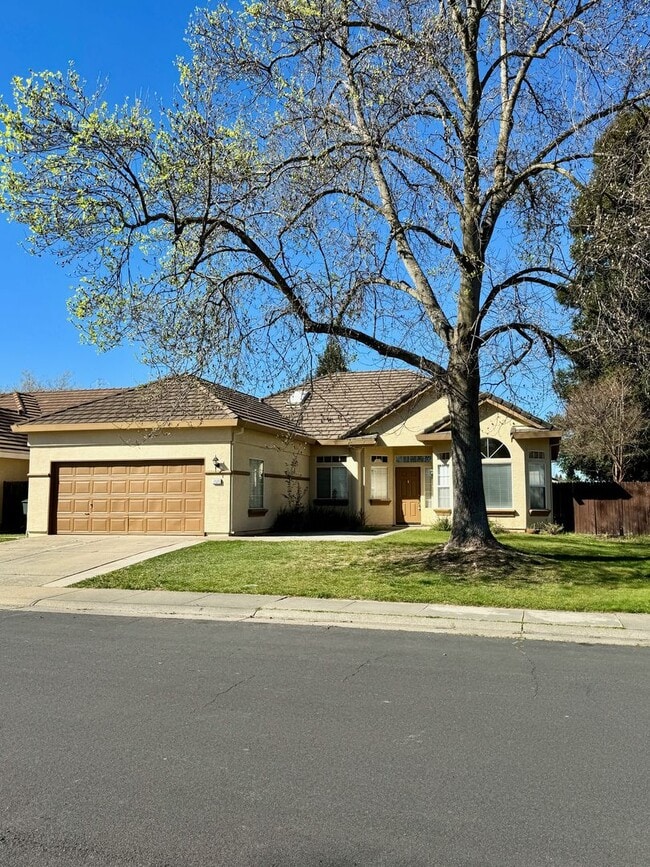 Building Photo - 1525 Chadbury Dr