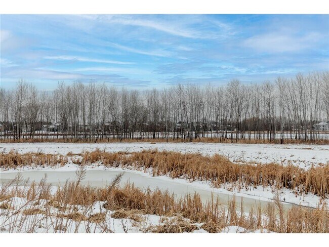 Building Photo - 13386 Fondant Trail N