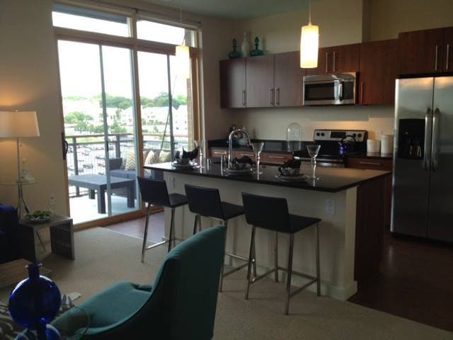 Apartment on the Milwaukee River - 1550 North Edison Street