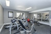 This dedicated fitness space is thoughtfully designed to accommodate a comprehensive workout experience. The room features gray carpeted flooring throughout and neutral gray walls, creating a clean, functional atmosphere. A textured ceiling with recessed fluorescent lighting ensures the space is well-lit, while a window fitted with blinds allows natural light to filter in, adding to the room's openness.

A large wall-mounted mirror panel runs along one side of the room, visually expanding the space and allowing users to monitor their form during exercise. Cardio equipment includes a treadmill, elliptical trainer, and stationary bike, all positioned to make efficient use of the available floor area. A weight bench with a protective floor mat provides a dedicated zone for strength training, complemented by multiple dumbbell racks stocked with a variety of weights and a selection of kettlebells. Additional accessories such as exercise balls and a yoga mat round out the offerings.

Storage is addressed through a set of double doors with ventilation panels, likely housing additional equipment or supplies. A wall-mounted television and a water cooler add convenience, while a glass-panel entry door connects the fitness room to an adjacent area, contributing to an accessible and well-organized layout.
