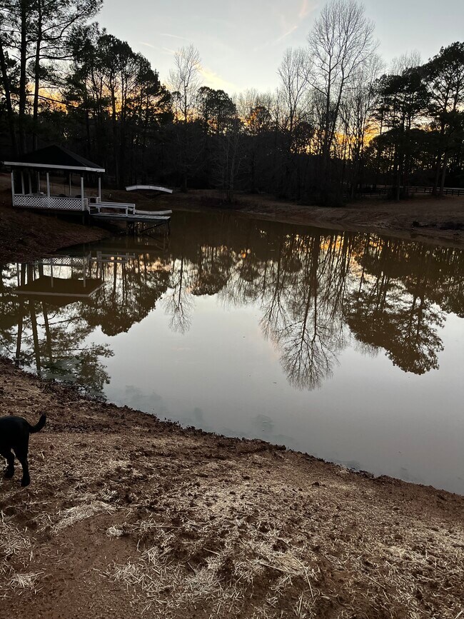 Foto del edificio - 9888 Whitehouse Pkwy