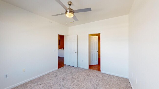 Interior Photo - Griffis Fitzsimons South