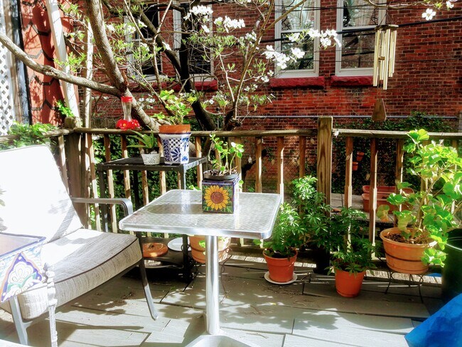 patio trasero - 4646 Hazel Ave