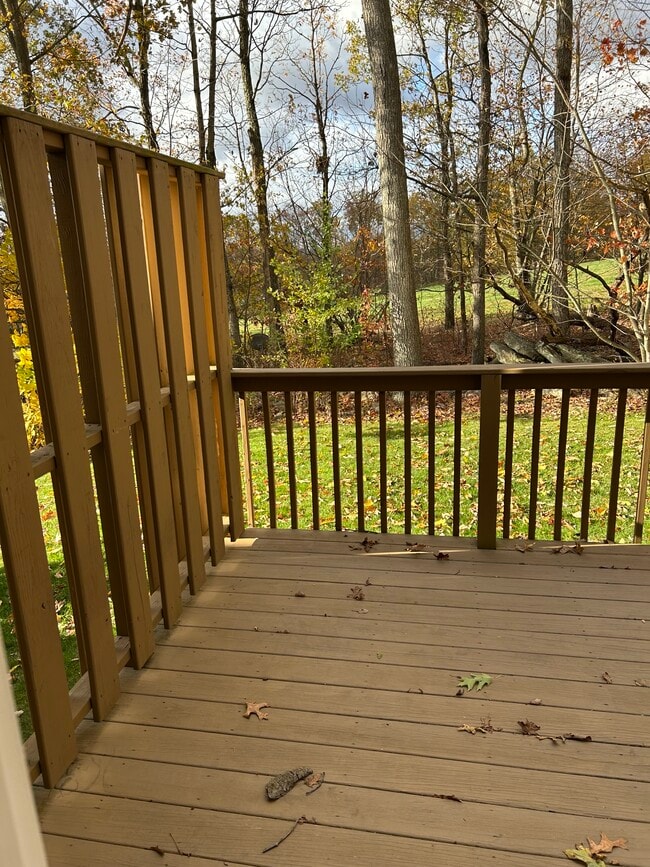 Building Photo - 56 N Chestnut Dr