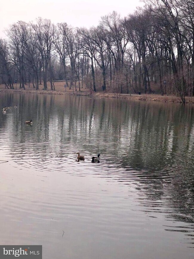 Foto del edificio - 604 Maple Ave