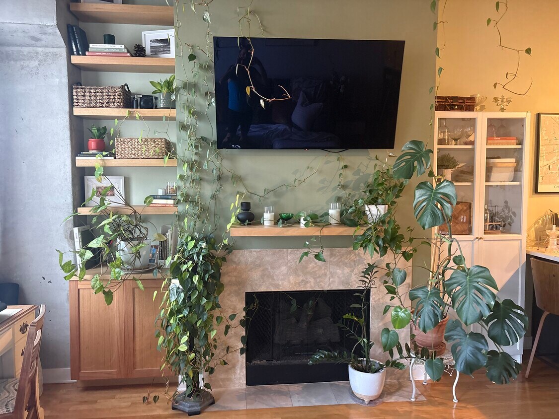 Foto principal - 1635 W Belmont Ave