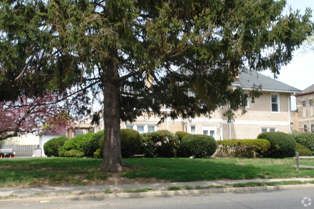 Primary Photo - 213 Chelsea Ave