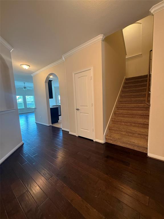 Foto del edificio - 4308 Chestnut Meadows Bend