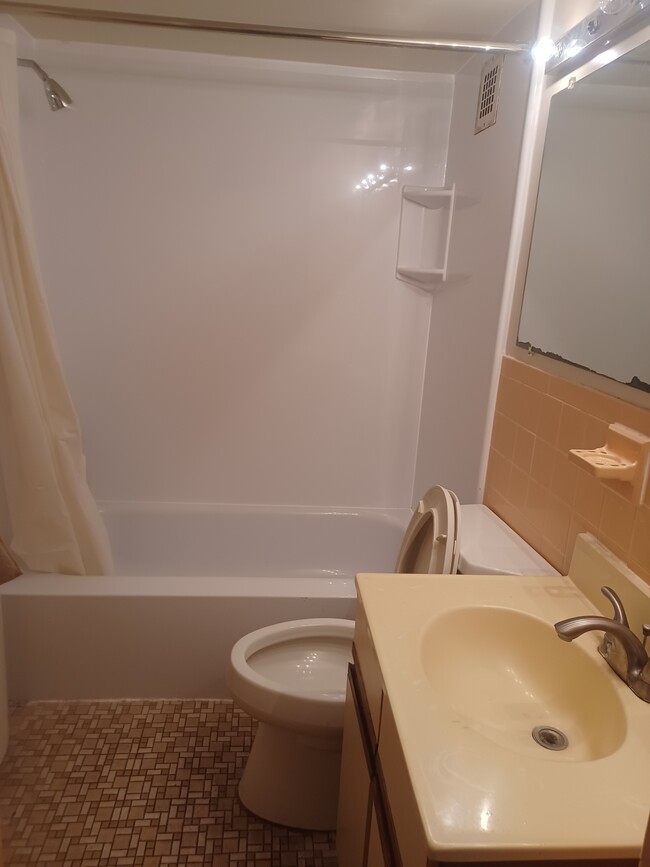 Hallway Bathroom - 2500 N Van Dorn St