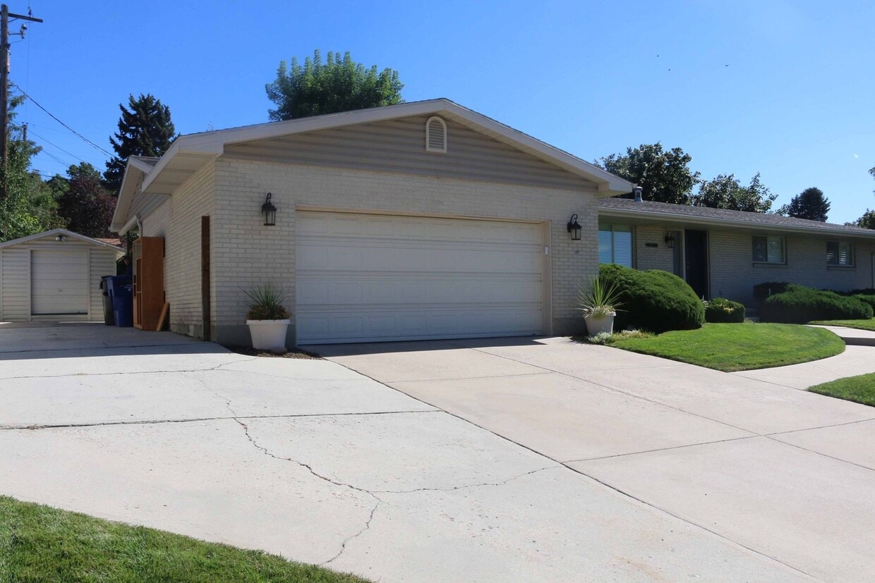 Primary Photo - Sandy home for rent(basement only)