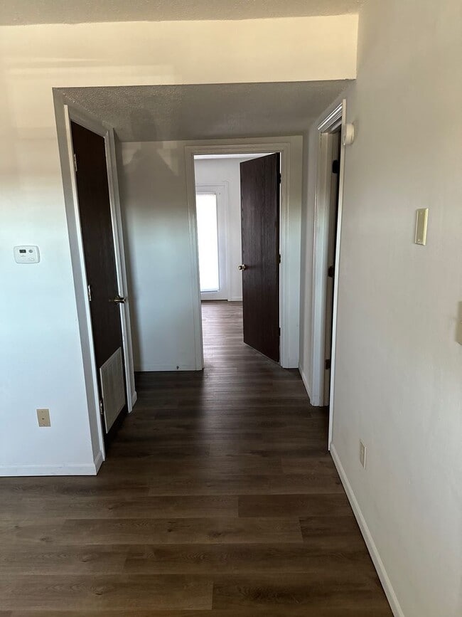 Interior Photo - Stadium Apartments