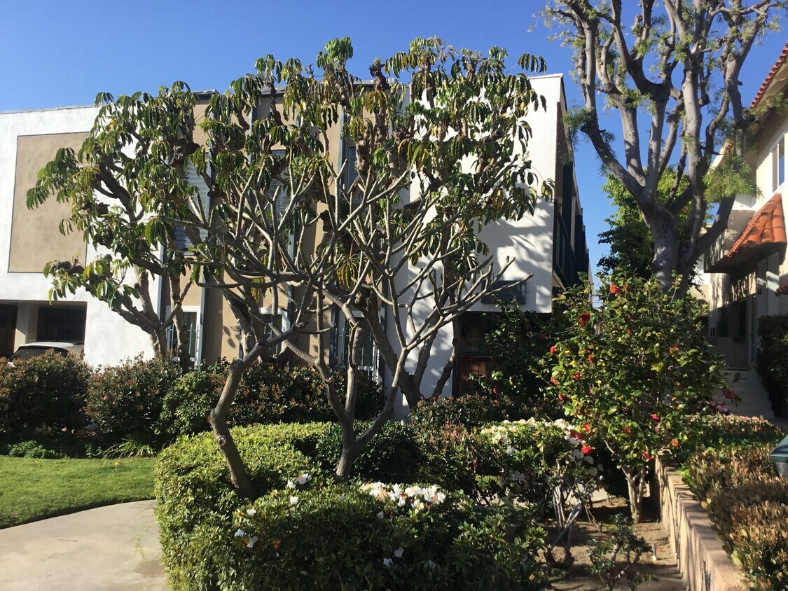 Foto del edificio - 3521 Mentone Ave
