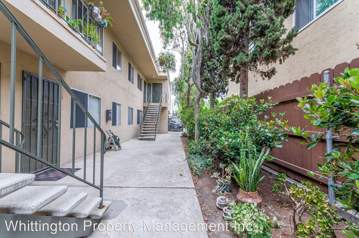 Primary Photo - 3135 Ivy St