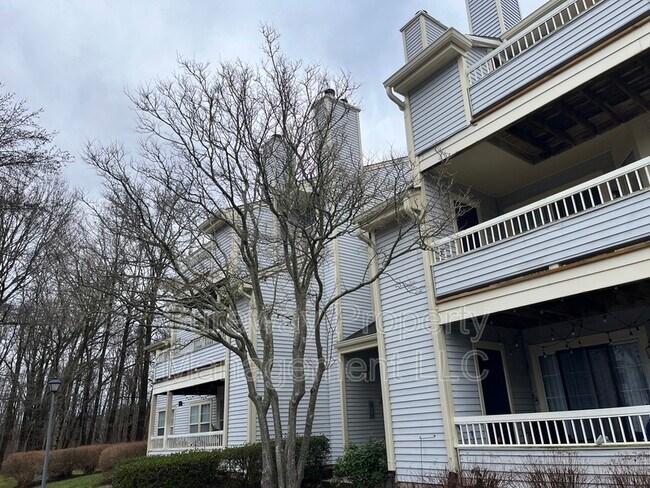 Building Photo - 117 Rainier Ct