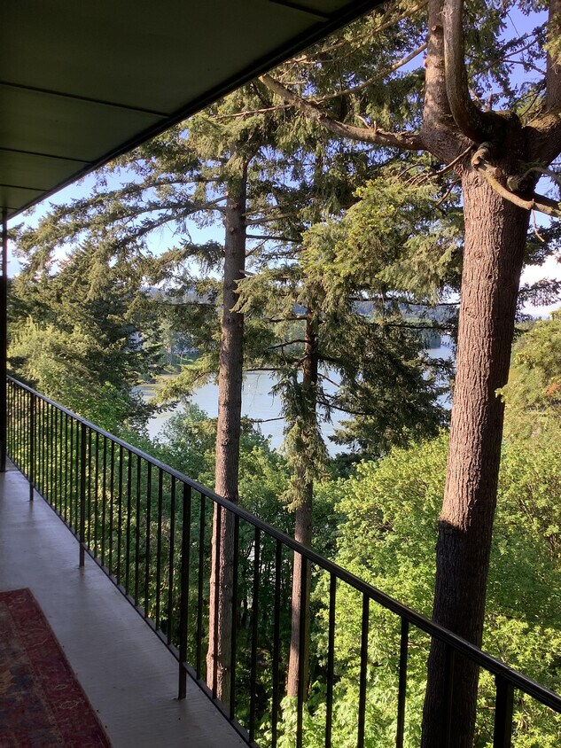 Stunning Willamette River View - 200 Burnham Rd